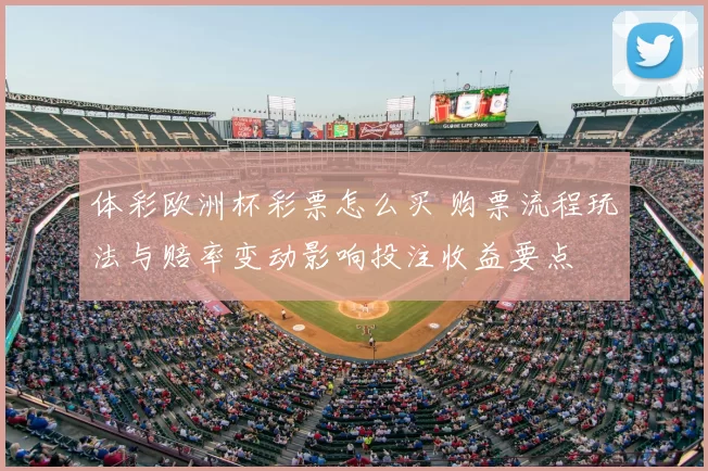 体彩欧洲杯彩票怎么买 购票流程玩法与赔率变动影响投注收益要点