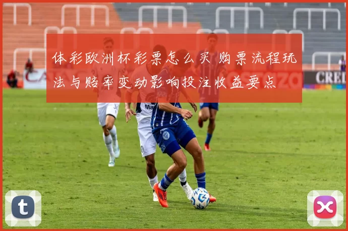 体彩欧洲杯彩票怎么买 购票流程玩法与赔率变动影响投注收益要点